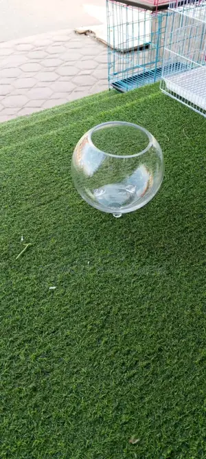 Glass Fish Bowl Medium