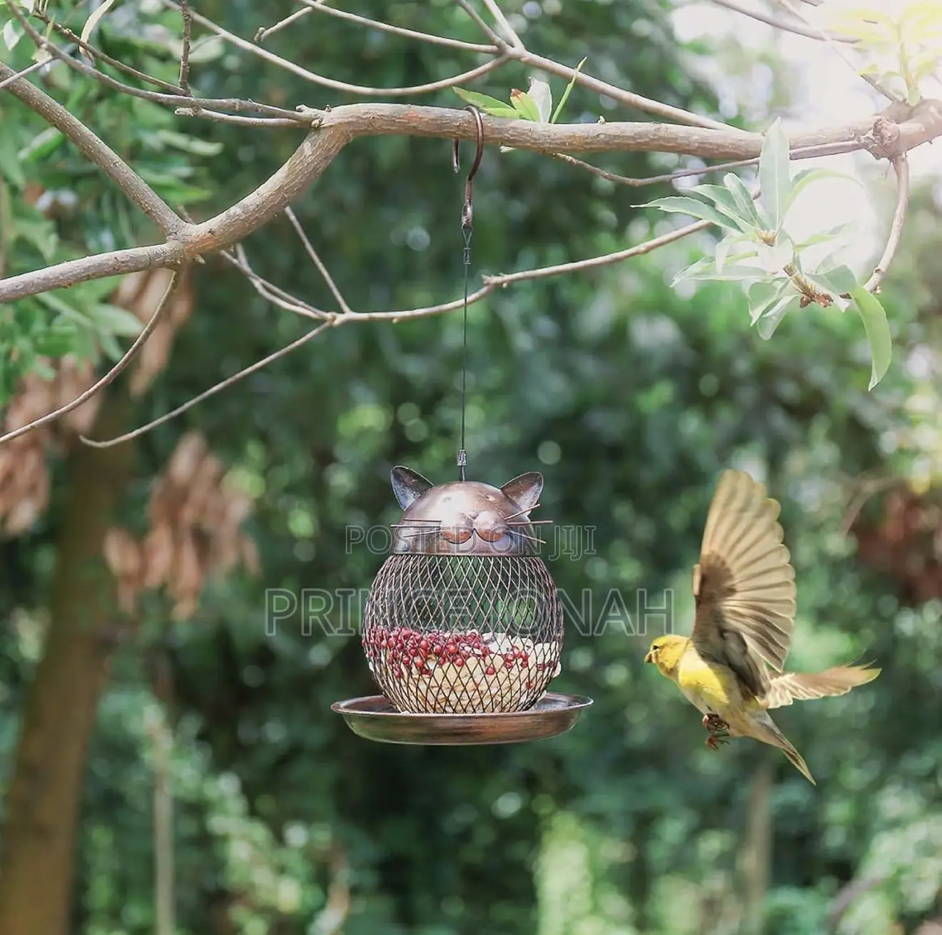 Bird Feeders Hanging Squirrel Proof Hanging Bird Feeder Cat Shape