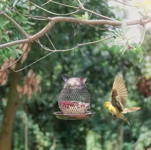 Bird Feeders Hanging Squirrel Proof Hanging Bird Feeder Cat Shape