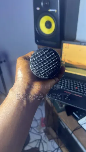 Akg P120 Studio Microphone