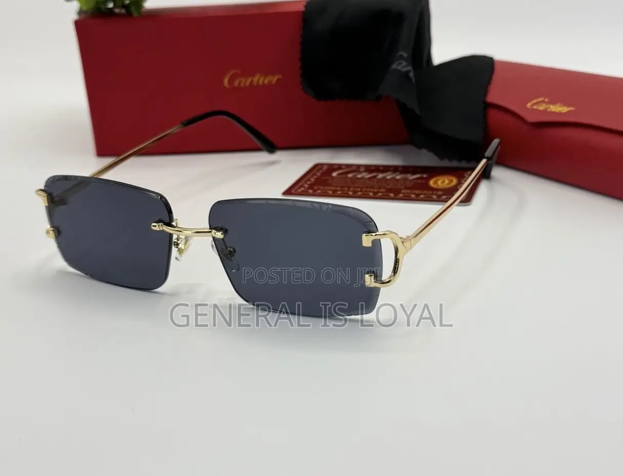 Cartier Rimless Glasses With Stainless Handles