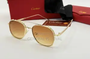 Cartier Dark Frame Glasses With Stainless Handles