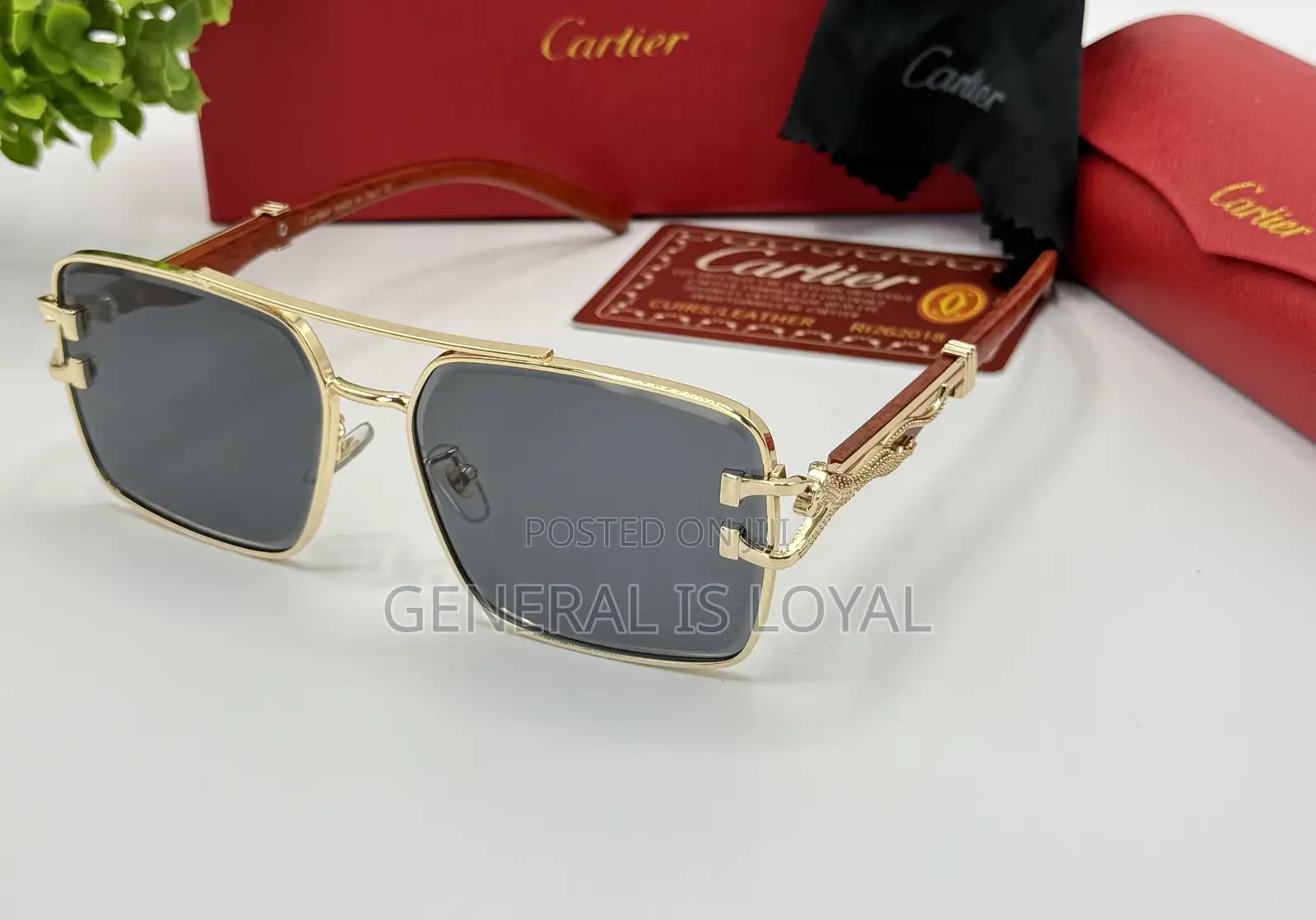 Cartier Dark Frame Glasses With Stainless Handles