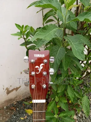 Yamaha F310 Original Acoustic Guitar With a Hard Case