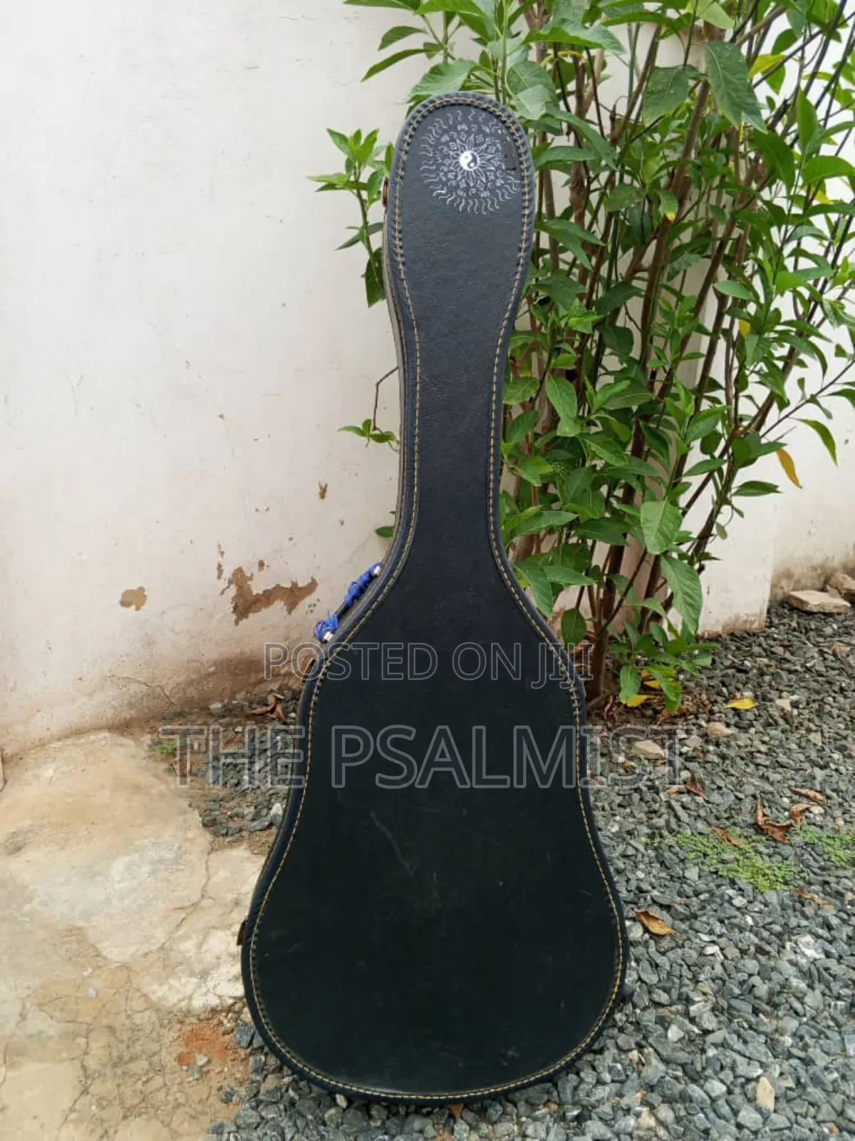 Yamaha F310 Original Acoustic Guitar With a Hard Case