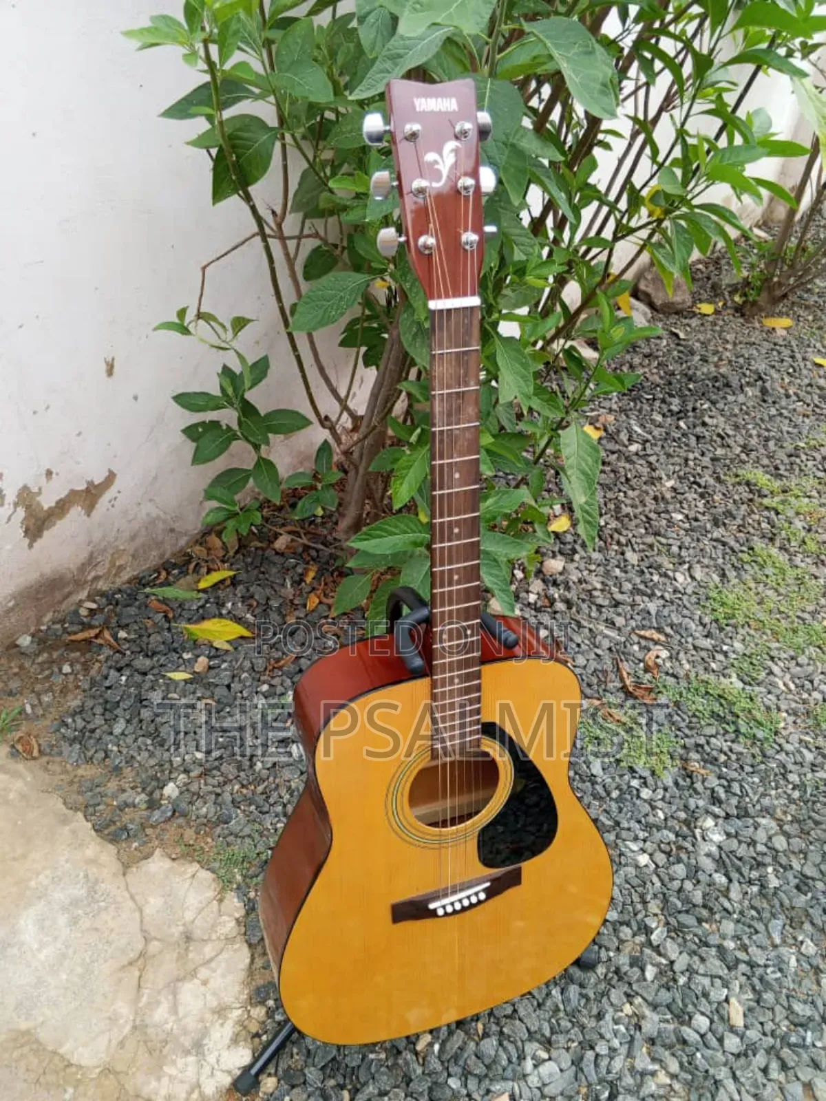 Yamaha F310 Original Acoustic Guitar With a Hard Case