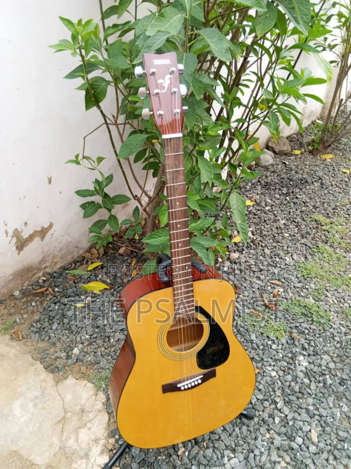 Yamaha F310 Original Acoustic Guitar With a Hard Case
