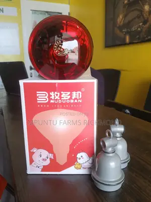 Heat Bulbs With Ceramic Holders