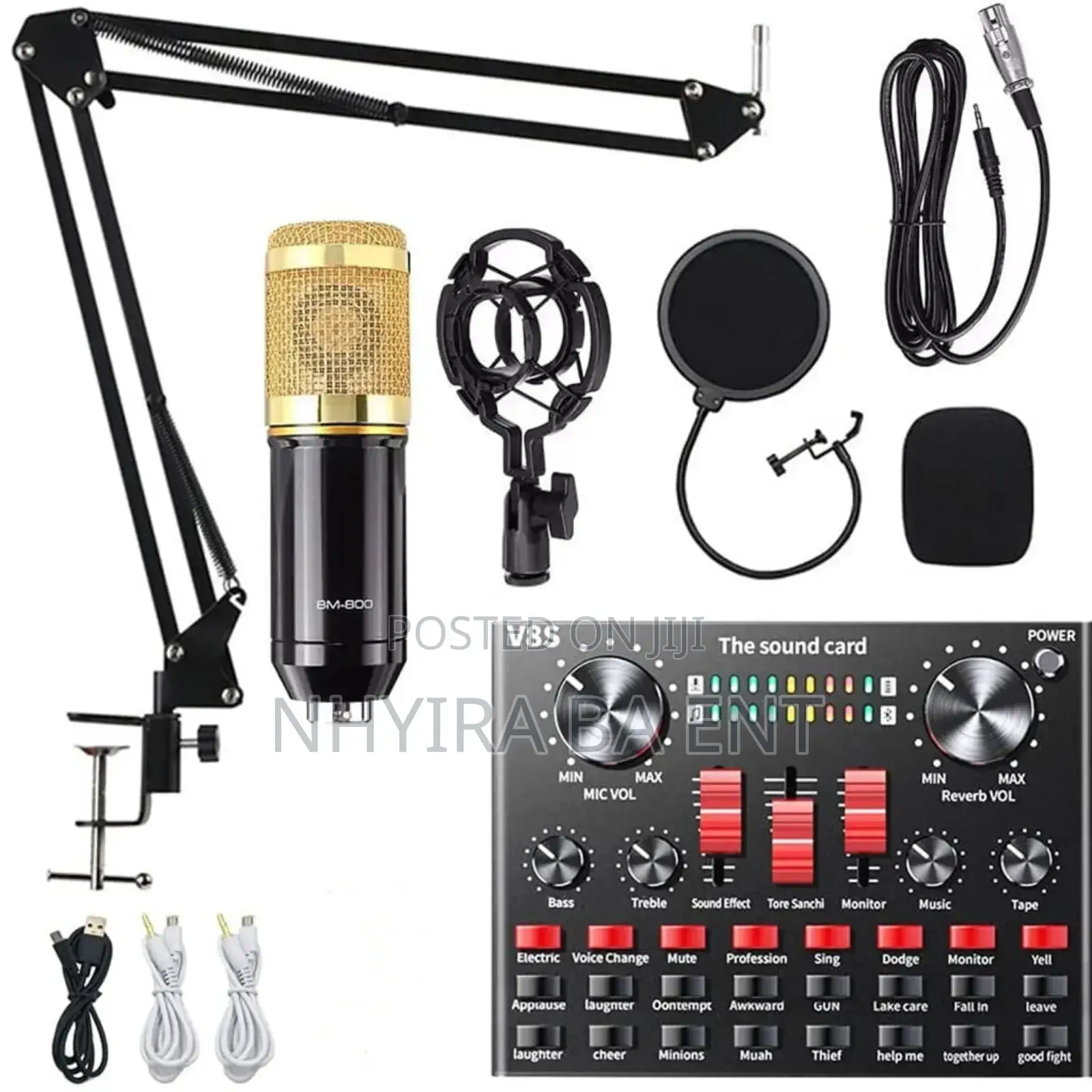 Professional Condenser Microphone