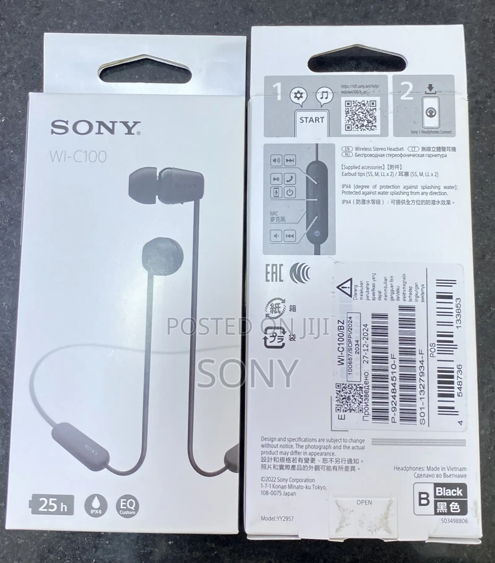 Sony Wi-C100