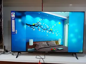Smart Home Viewing Ailyons 55” Tv