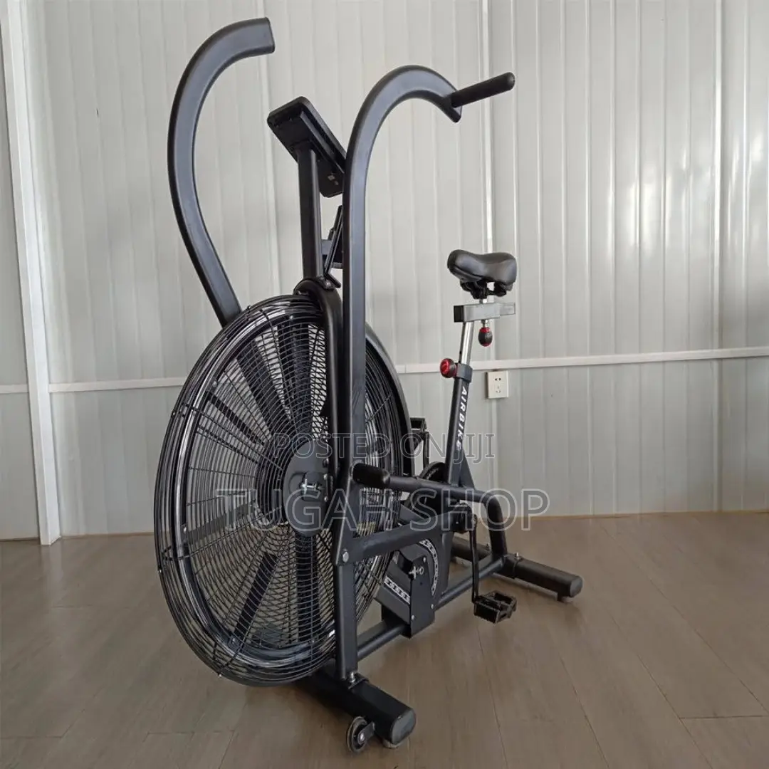 Assault Stationary Air Exercise Bike