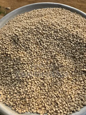 Beans and Maize