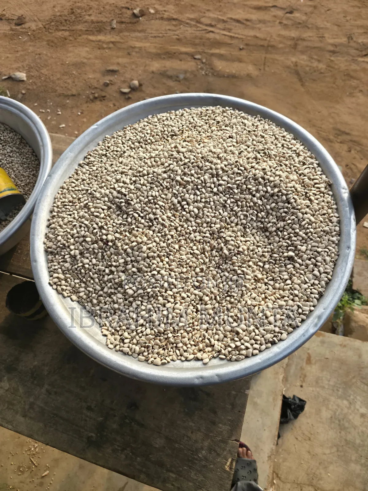 Beans and Maize