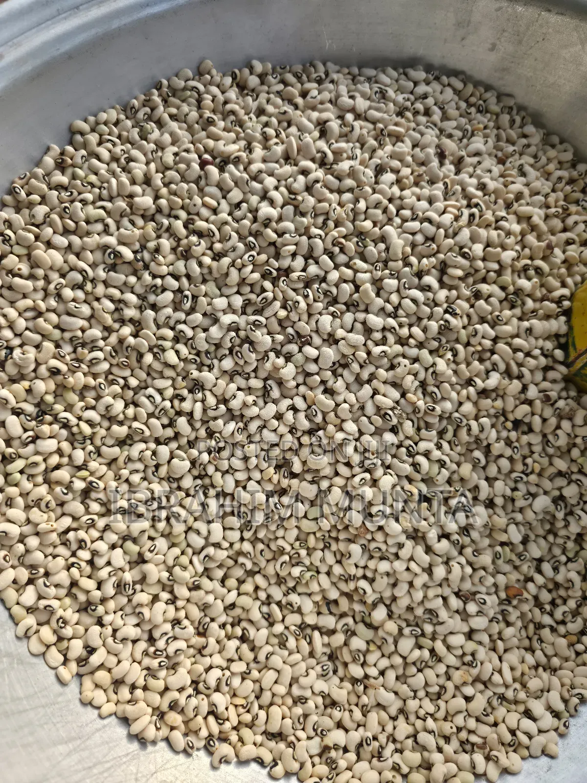 Beans and Maize