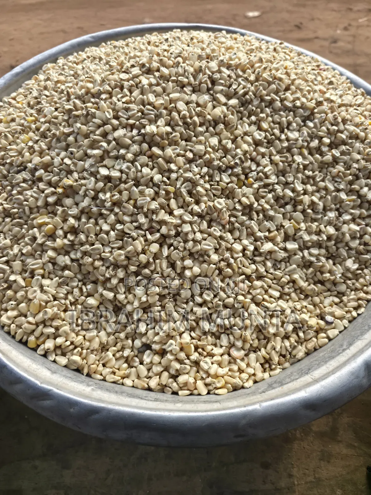 Beans and Maize