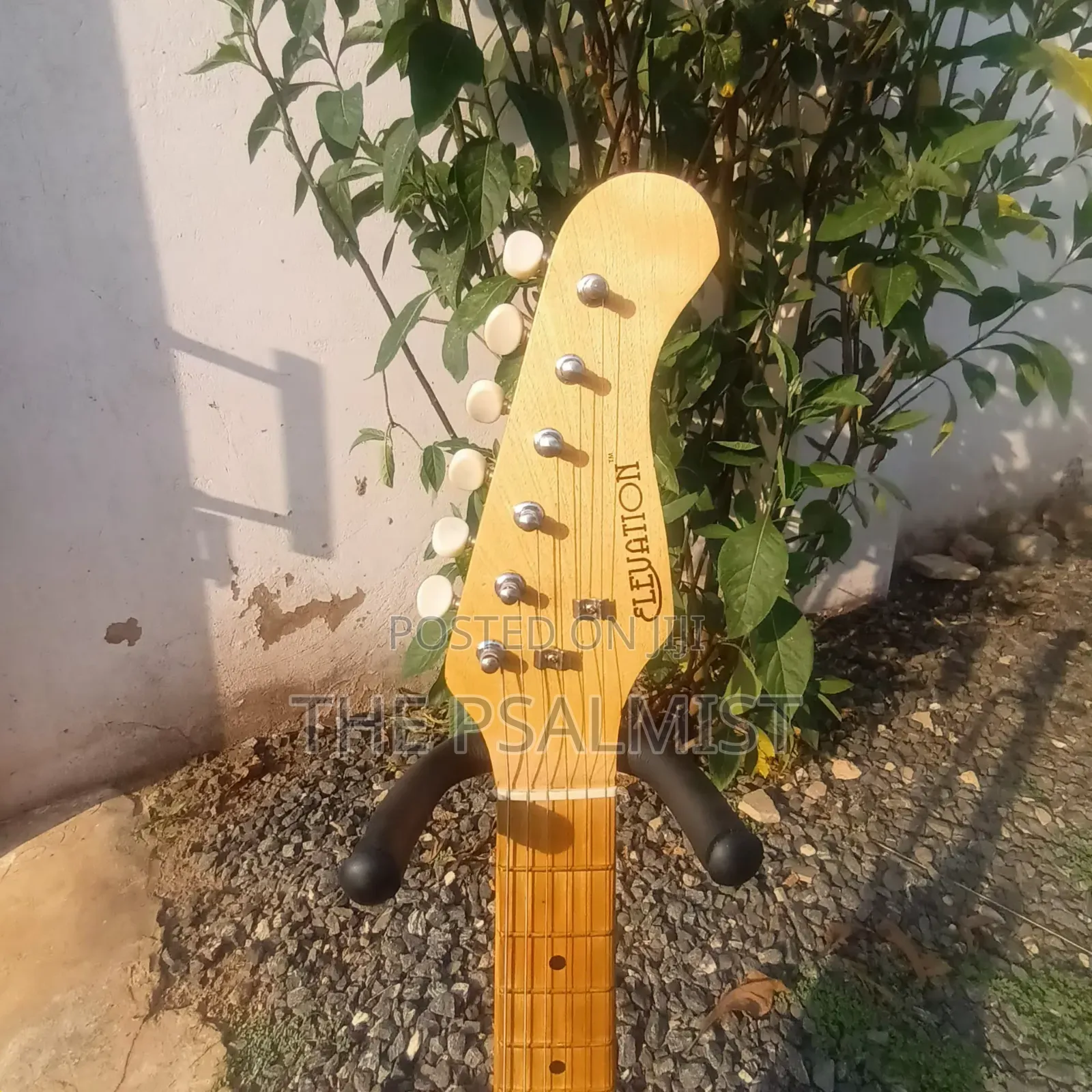 Elevation 1/2 Size Guitar