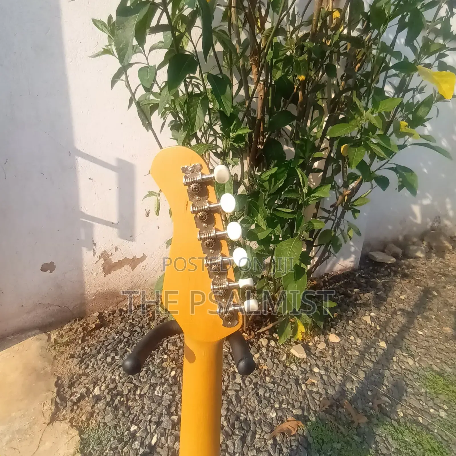 Elevation 1/2 Size Guitar