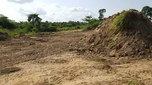 Plot of Land for Sale