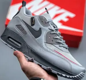 Nike Air Max 90 Ash