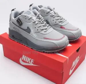 Nike Air Max 90 Ash