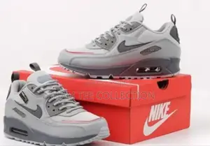 Nike Air Max 90 Ash