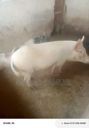 Brothers Farm