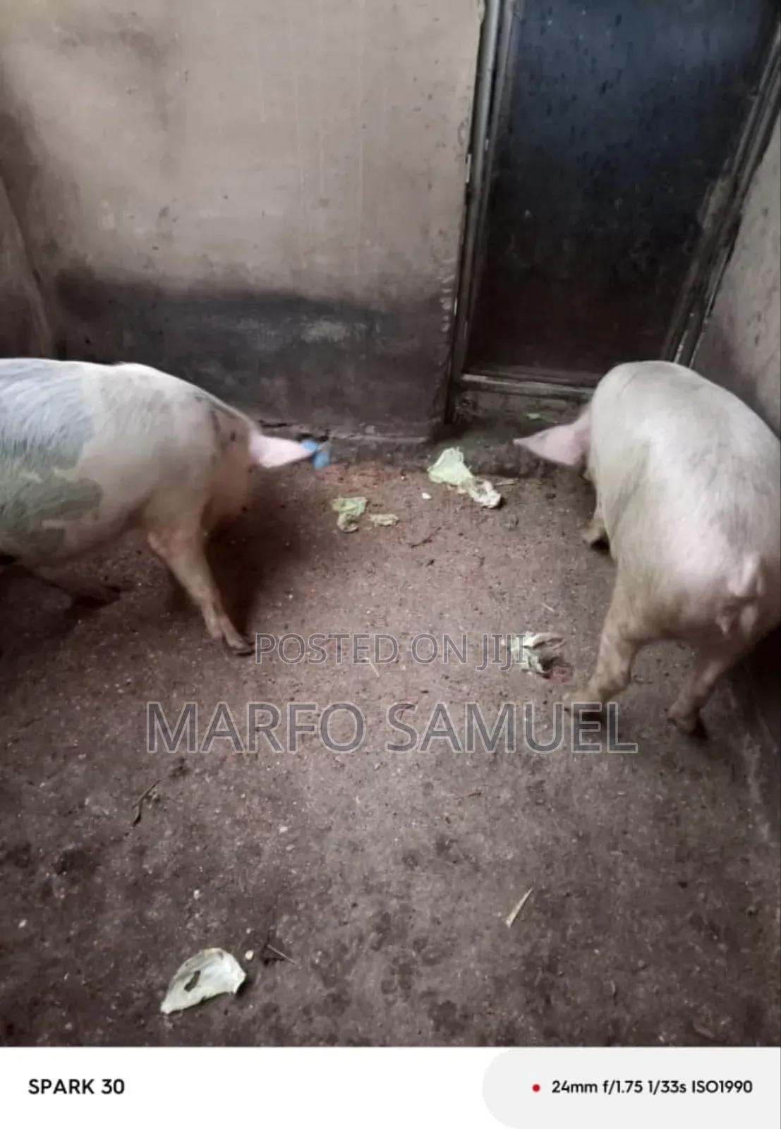 Brothers Farm