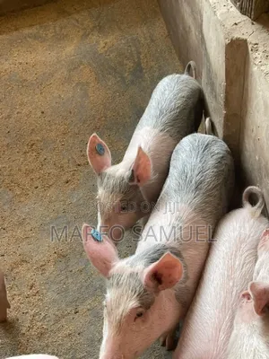 Brothers Farm