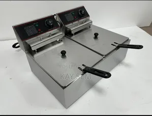 Electric Deep Fryer 12l