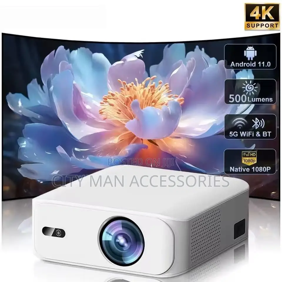 Display Projector