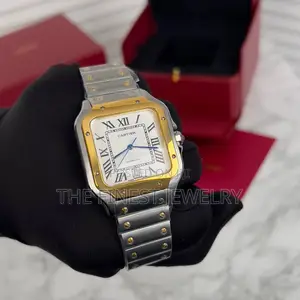 Cartier Santos Silver/Gold-White Wristwatch