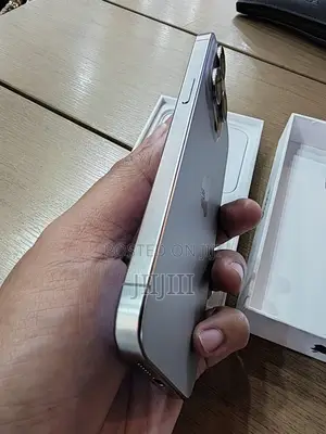 Apple iPhone 15 Pro Max 256 GB Silver