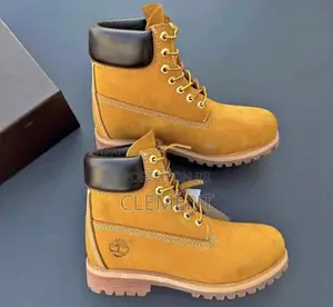 Timberland Shoe