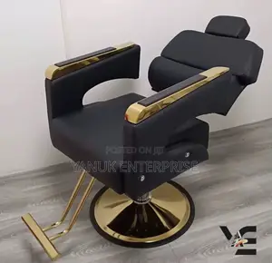Adjustable Salon Chair