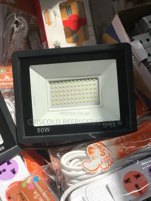 50w Flood Light