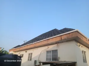 Shingles Black and White Rain Gutter
