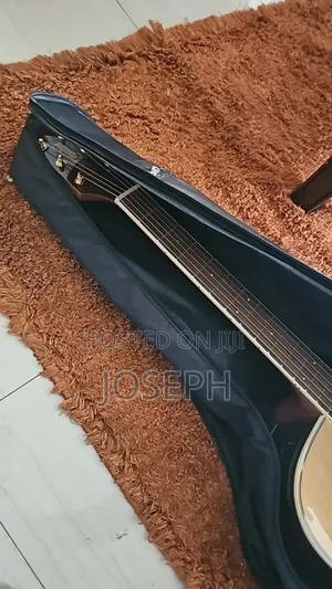 Guitar Bag