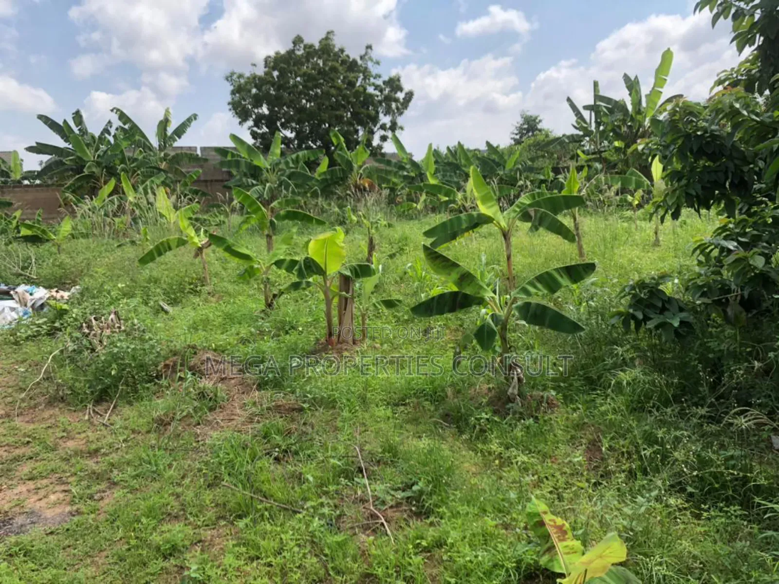 Land for Sale in Amasaman Medie