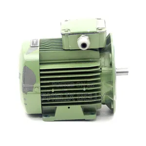 Original Leroy Somer Ls71/T Motor