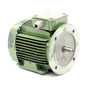 Original Leroy Somer Ls71/T Motor