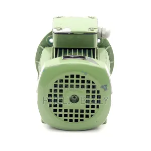 Original Leroy Somer Ls71/T Motor