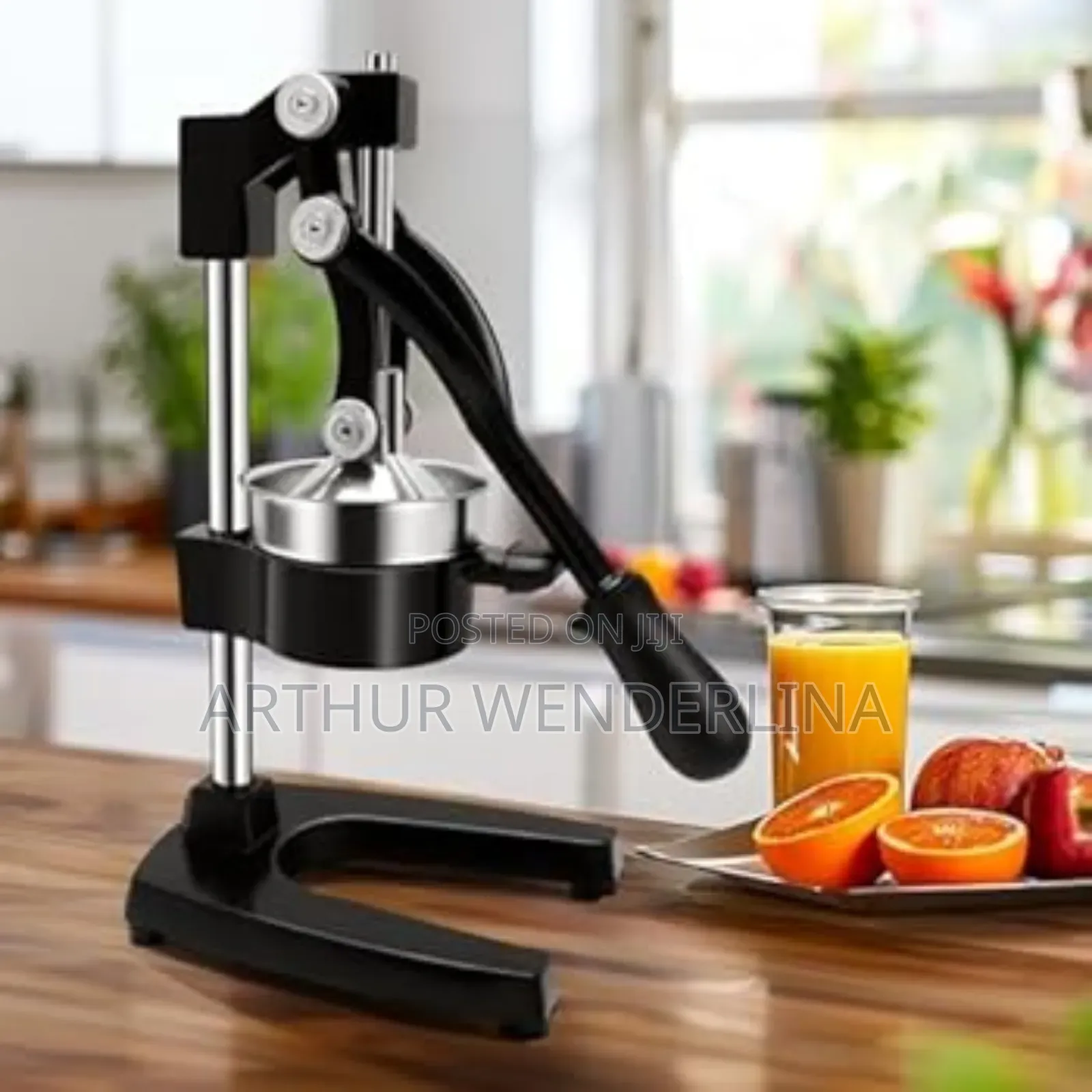 Avinas Hand Juicer
