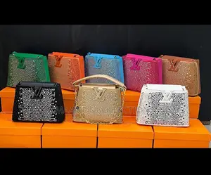 Louis Vuitton Party Bangle Bags ( In A Box)