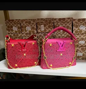 Louis Vuitton Party Bangle Bags ( In A Box)