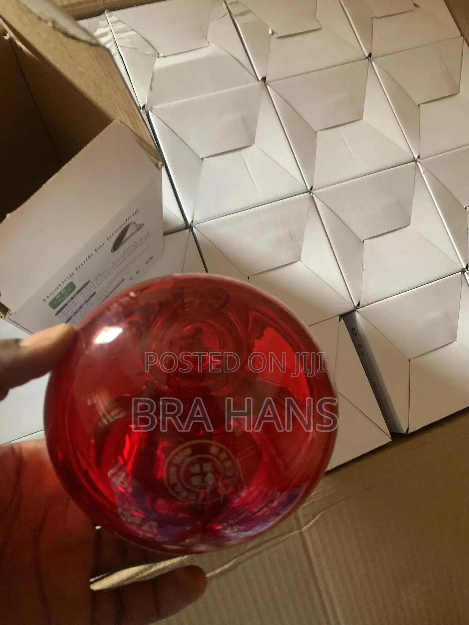 Brooder Lamp(250w)