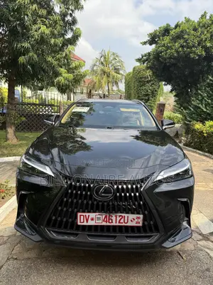 Lexus NX 2022 Black