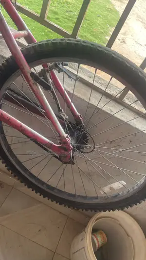 Mountain Bicycle