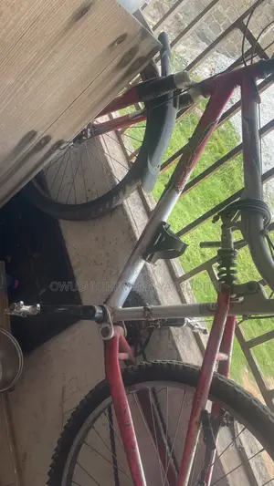 Mountain Bicycle