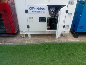 Trusted Perkins Backup Generator
